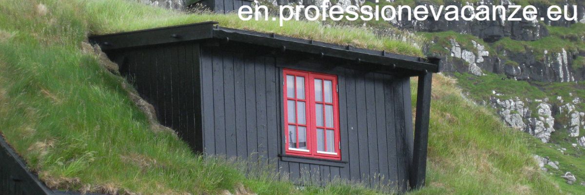 en.professionevacanze.eu